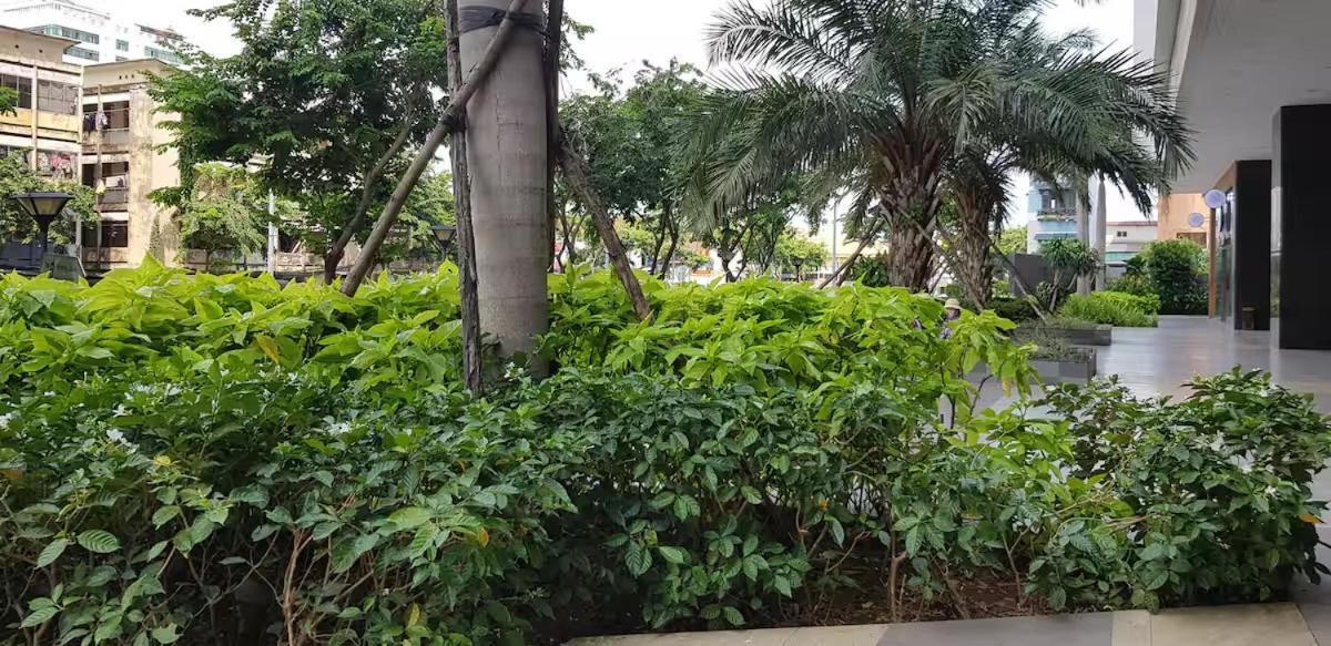 Căn hộ Rivergate, 1 Bedroom Center TP. Hồ Chí Minh